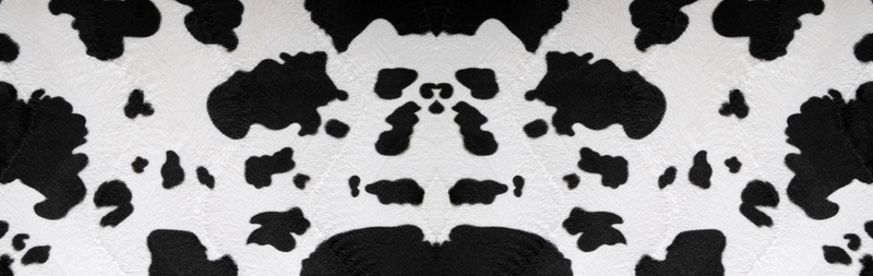 Orion mPulse® Vinyl Skins
