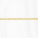 Gold Rolo chain on a white background