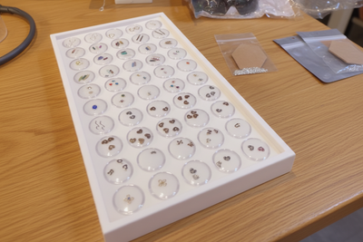 Jump Rings & Connectors with a Display Case